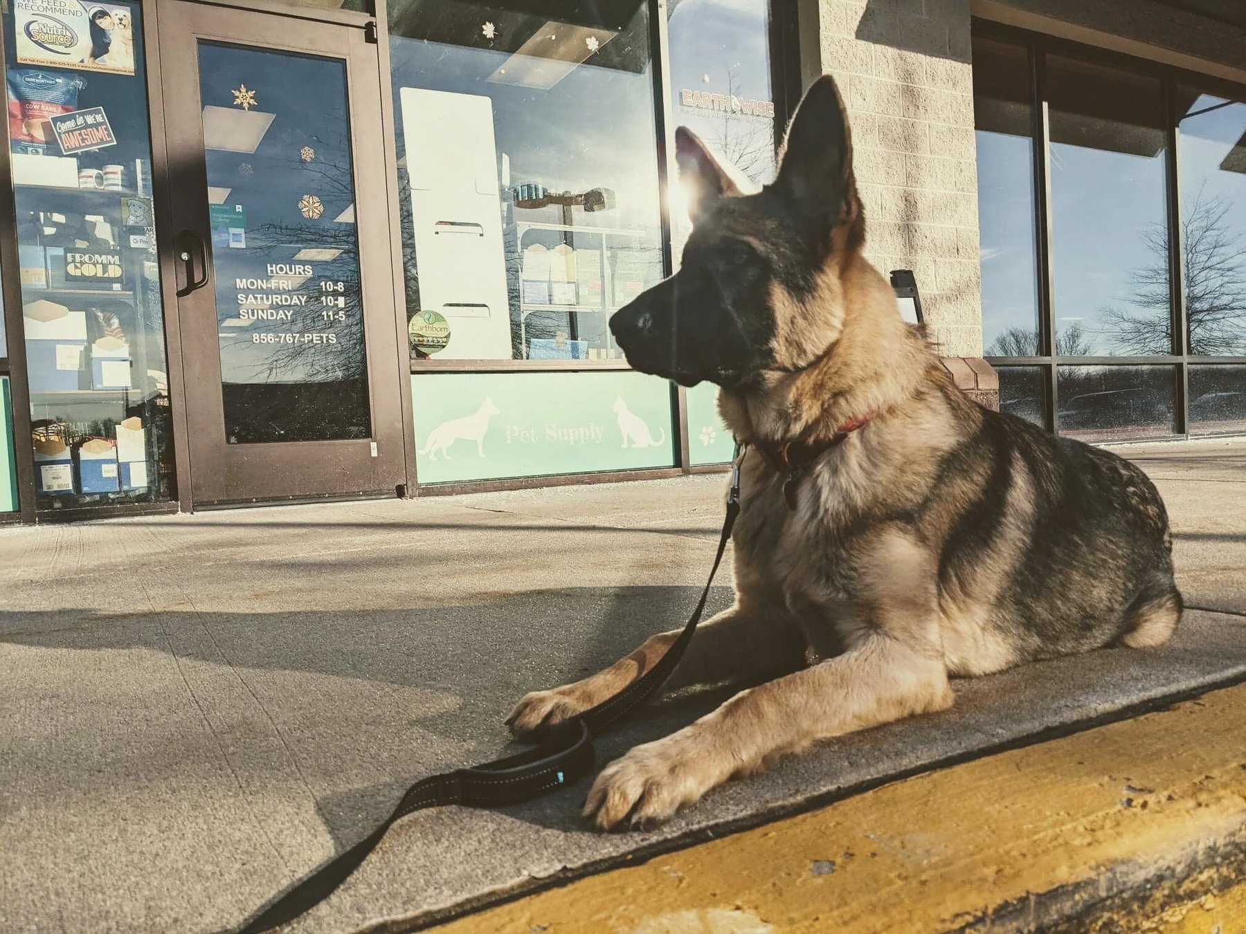 The Well Mannered Dog — dog trainer in Cherry Hill, NJ
