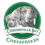 Chessieville Bay K9 Training logo