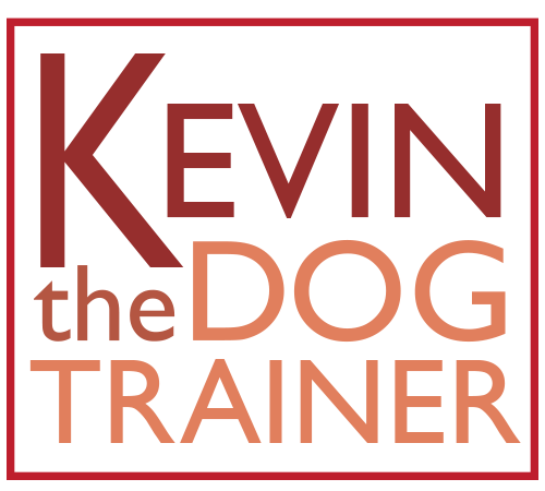 Kevin the Dog Trainer