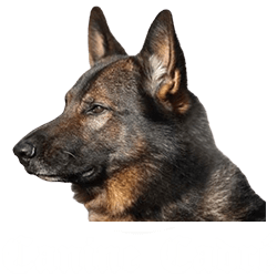 Canine Cadre logo