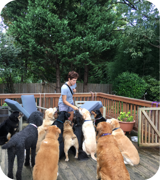 Happy Dogs On The Hill LLC