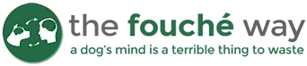 Brandon Fouche logo
