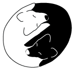 Dances with Dogs — dog trainer in Silver Spring, MD