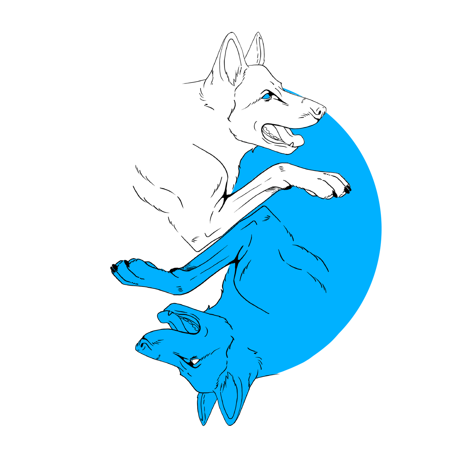 MADD K9 Academy LLC — dog trainer in Trenton, NJ