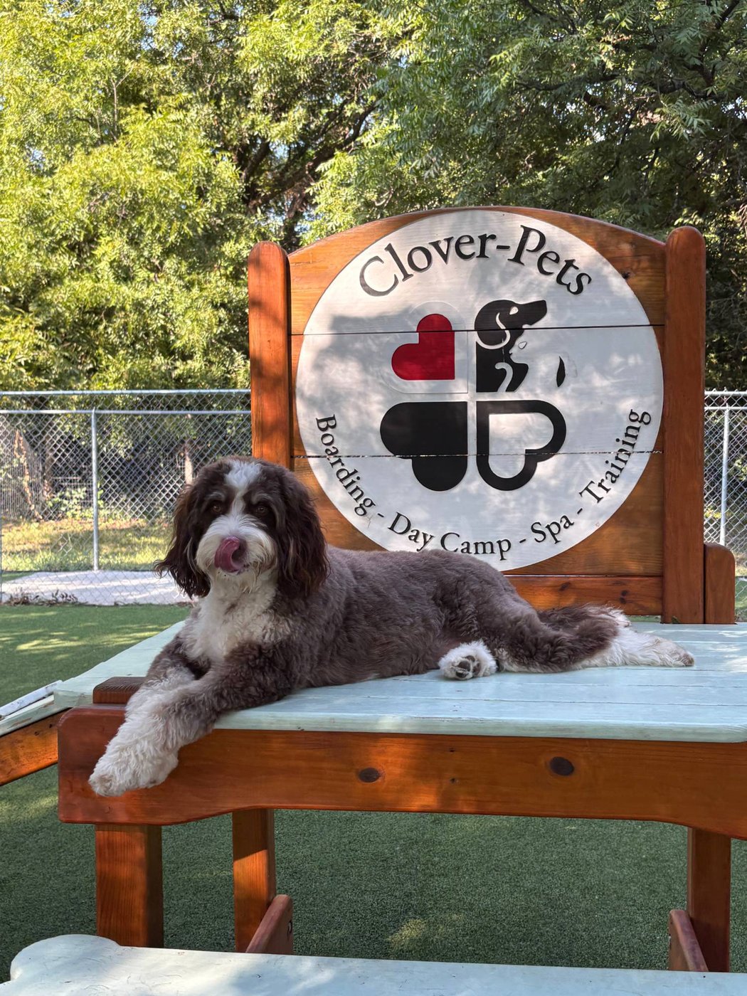 Clover-Pets / Dog Training & Boarding Granbury