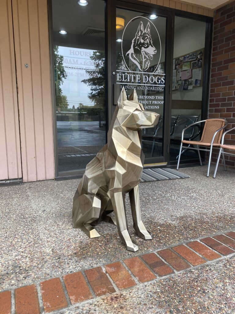 Elite Dogs Training & Boarding