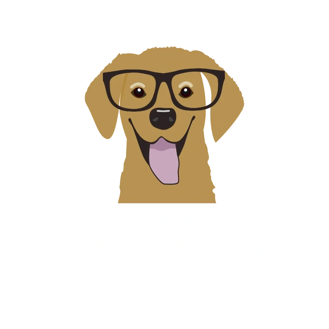 Sit N Stay