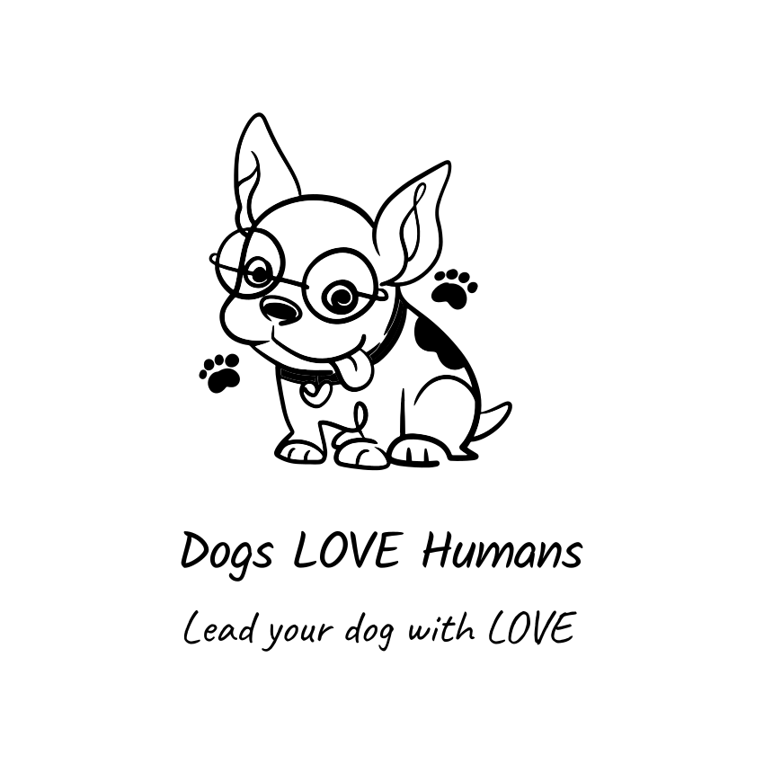 Dogs Love Humans, Dog Training and Behavior Modification, Naples FL — dog trainer in Naples, FL