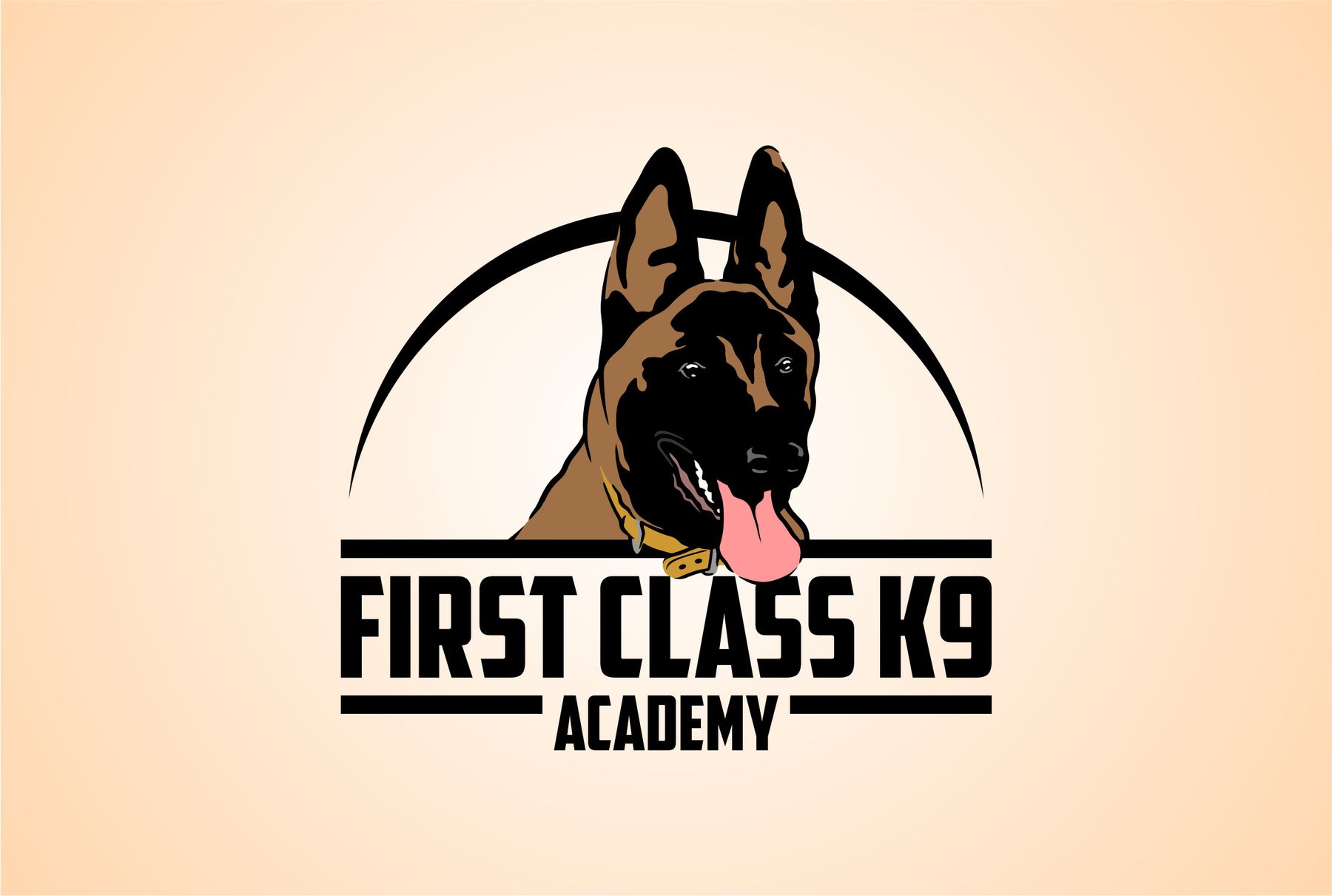 First Class K9 Academy — dog trainer in Orlando, FL