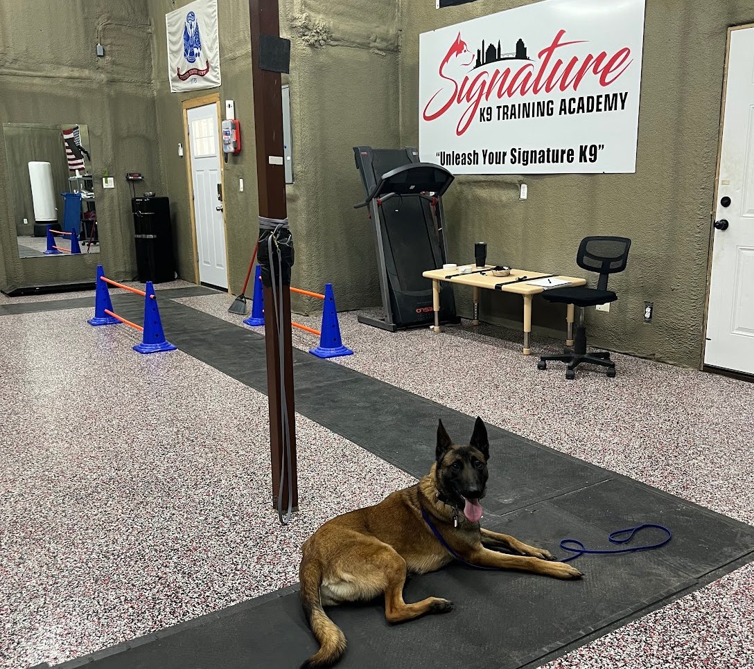 Signature K9 Training Academy — dog trainer in Bastrop, TX
