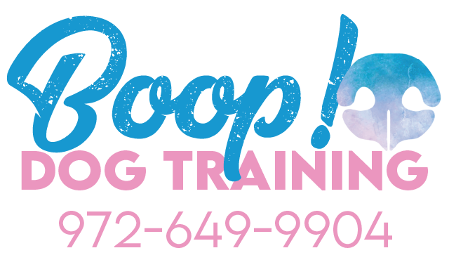 Boop! Dog Training