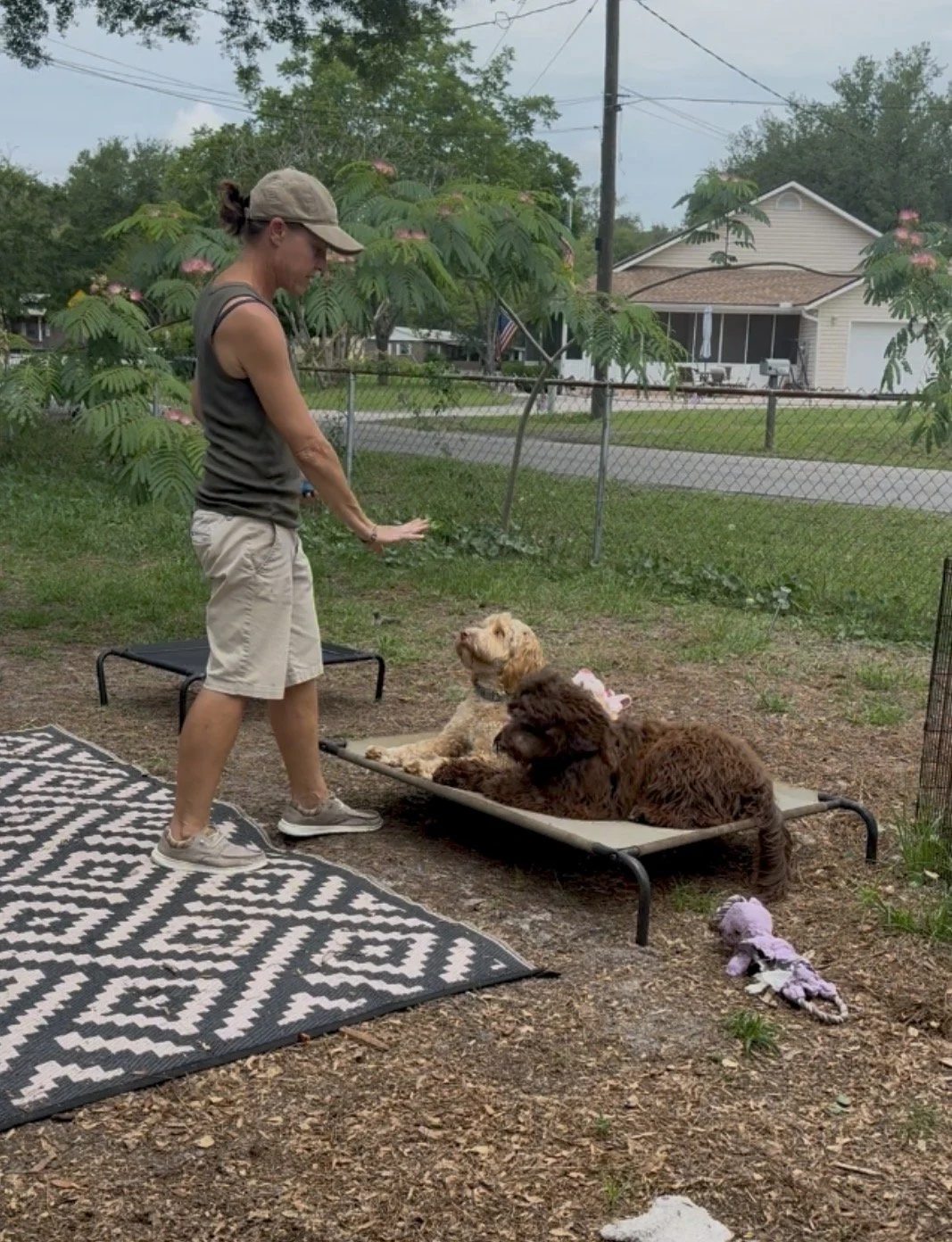 Paws Academy Dog Training