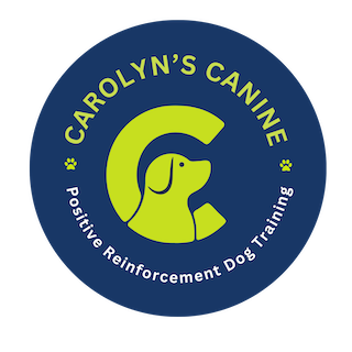 Carolyn's Canine — dog trainer in Santa Fe, NM
