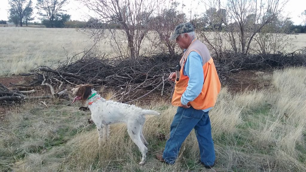 Jim's Bird Dog Training — dog trainer in Redding, CA