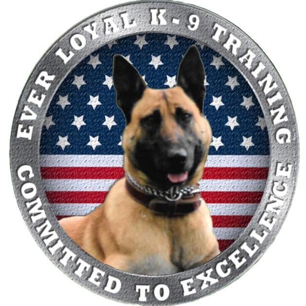 Ever Loyal K-9 Training — dog trainer in Atlantic City, NJ