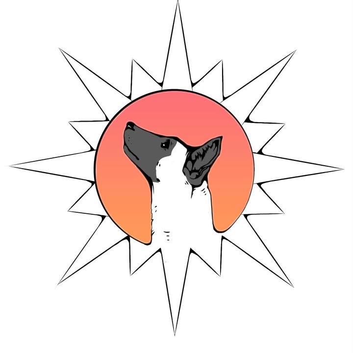 Skyway K9 — dog trainer in St. Petersburg, FL