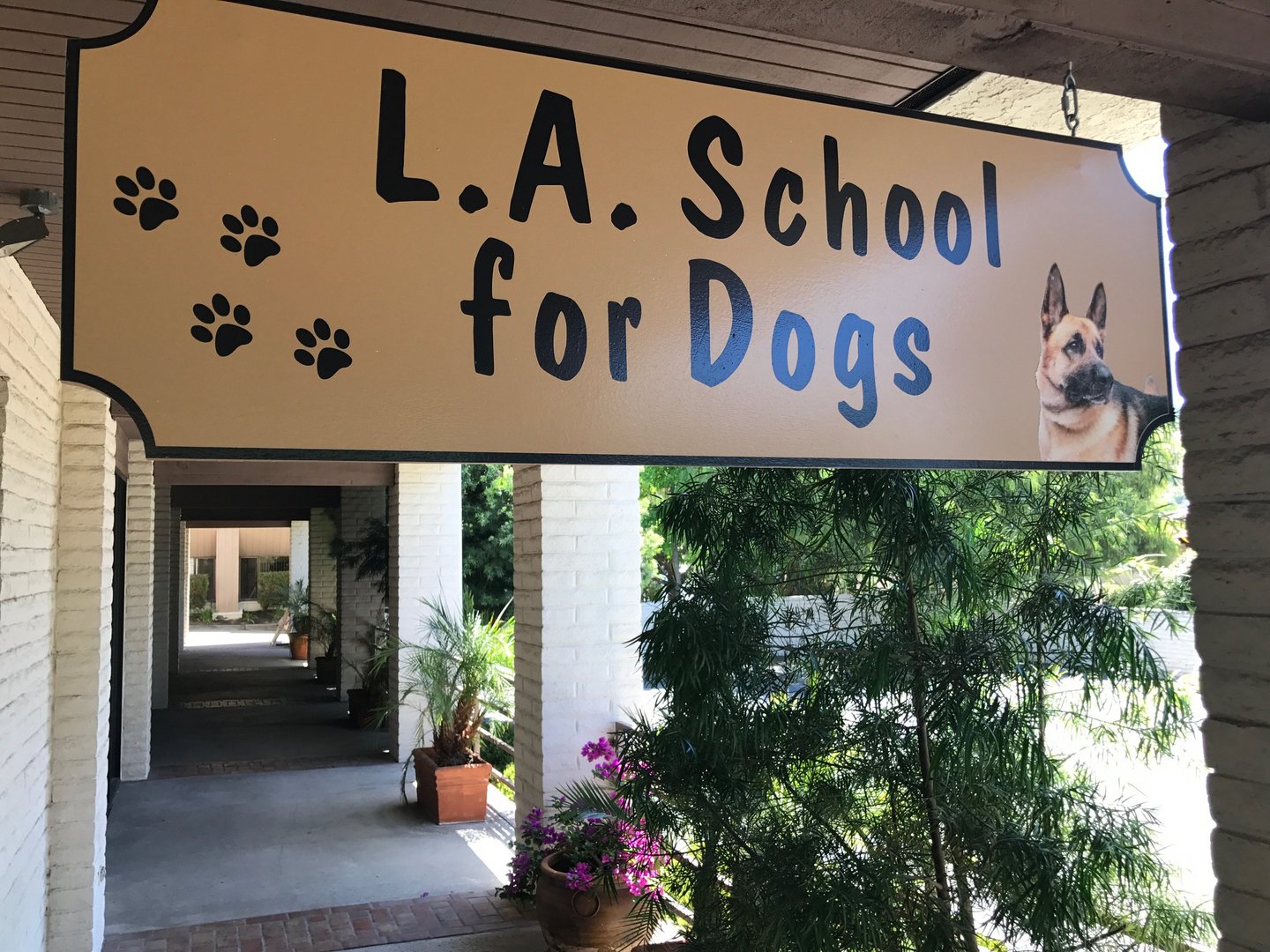 L A School For Dogs – Best Dog School in California