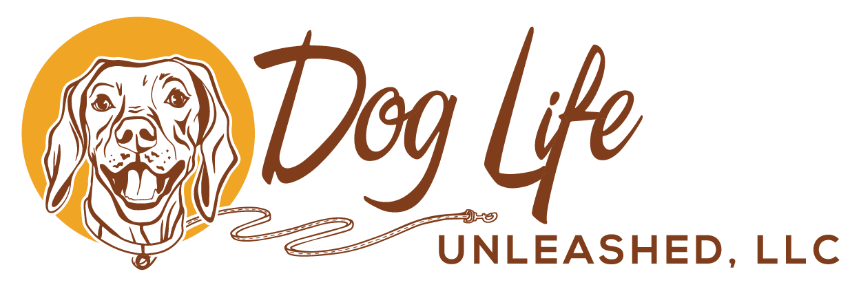 K9 Coach Dog Training San Diego