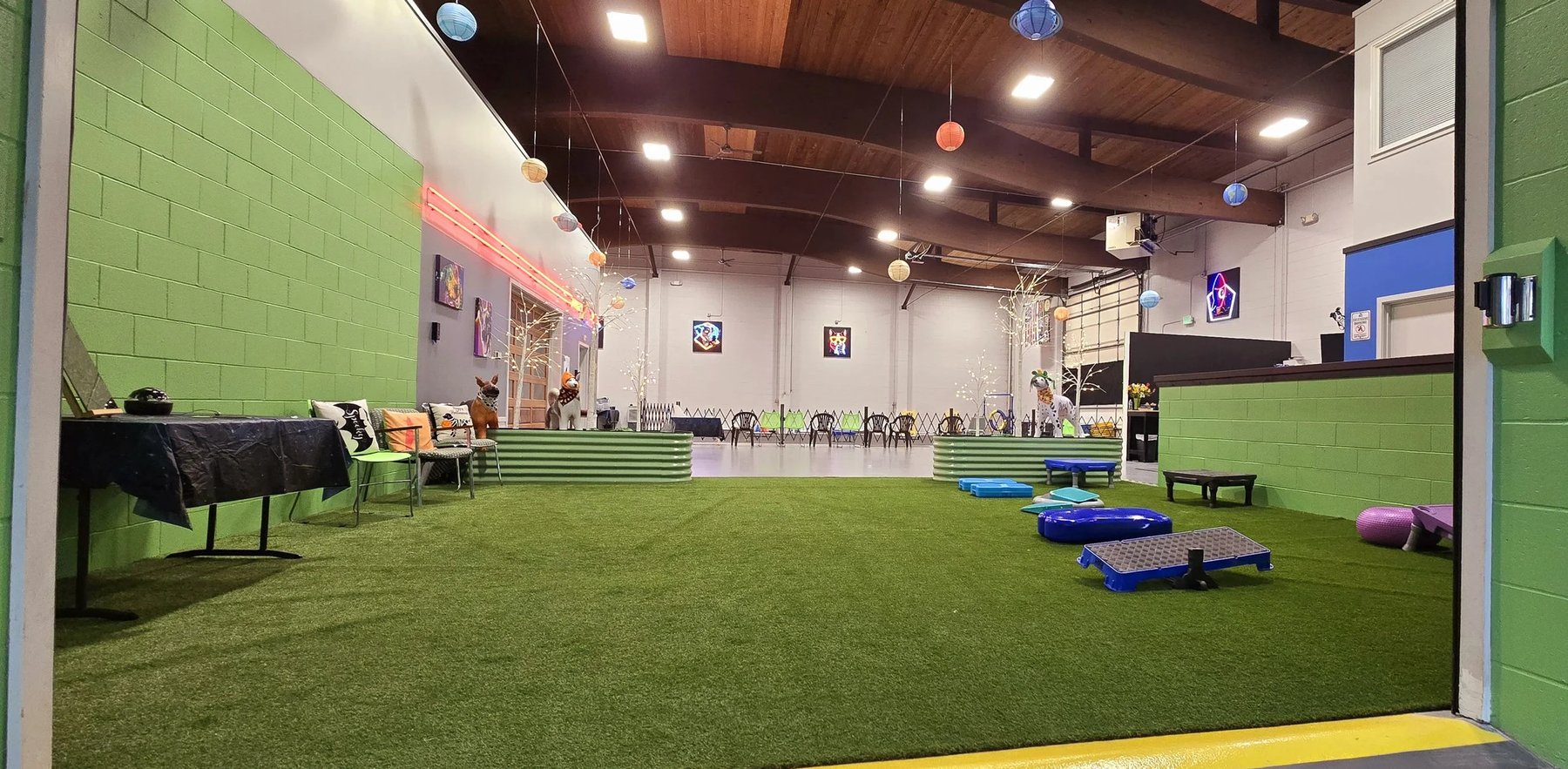 Rocket Dog Academy