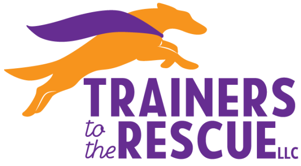 Trainers to the Rescue