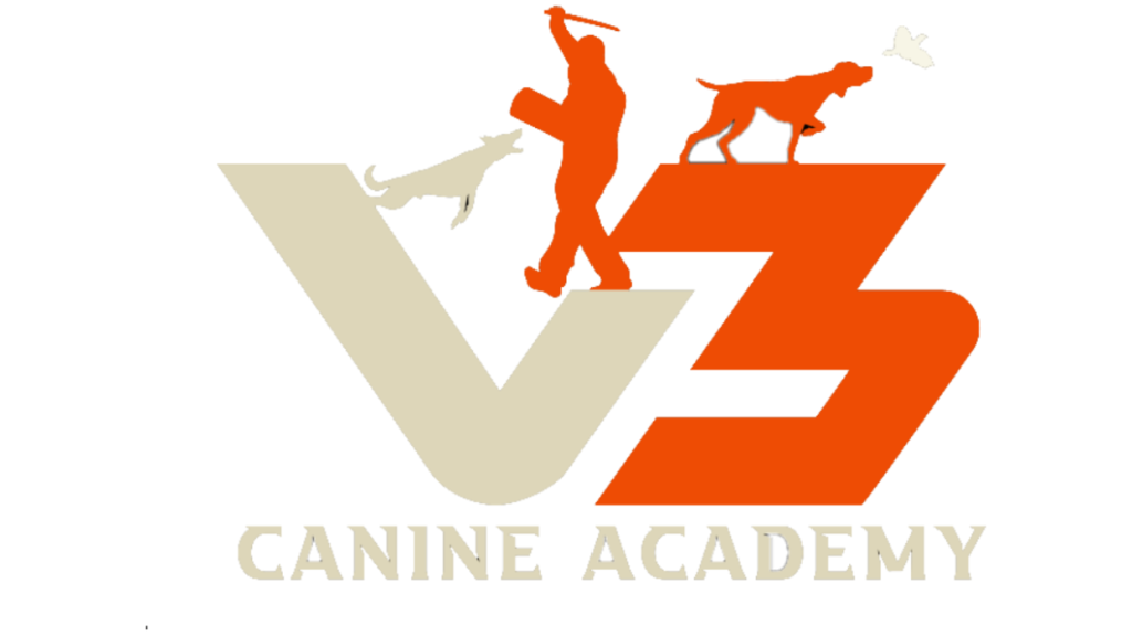 V3 Gun Dogs & Canine Academy