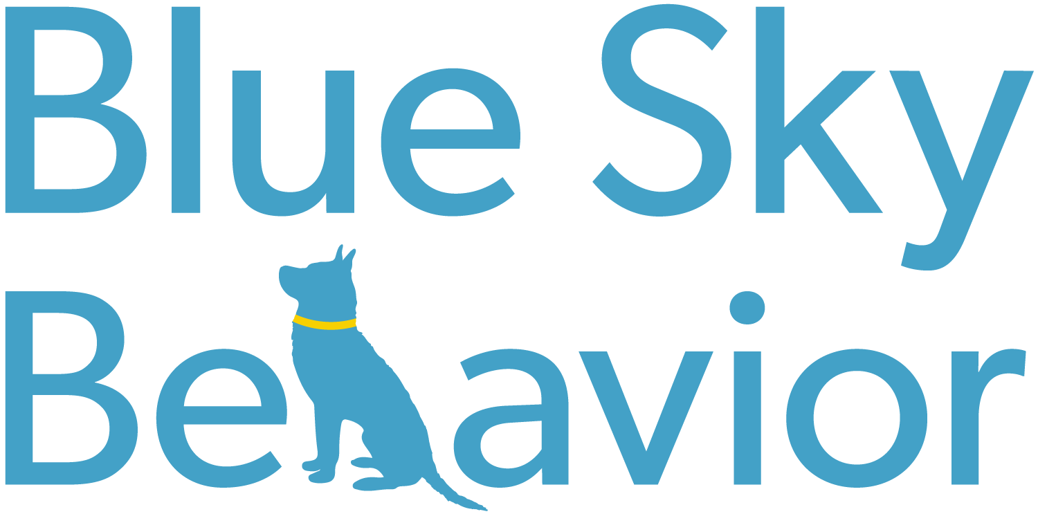 Blue Sky Behavior logo