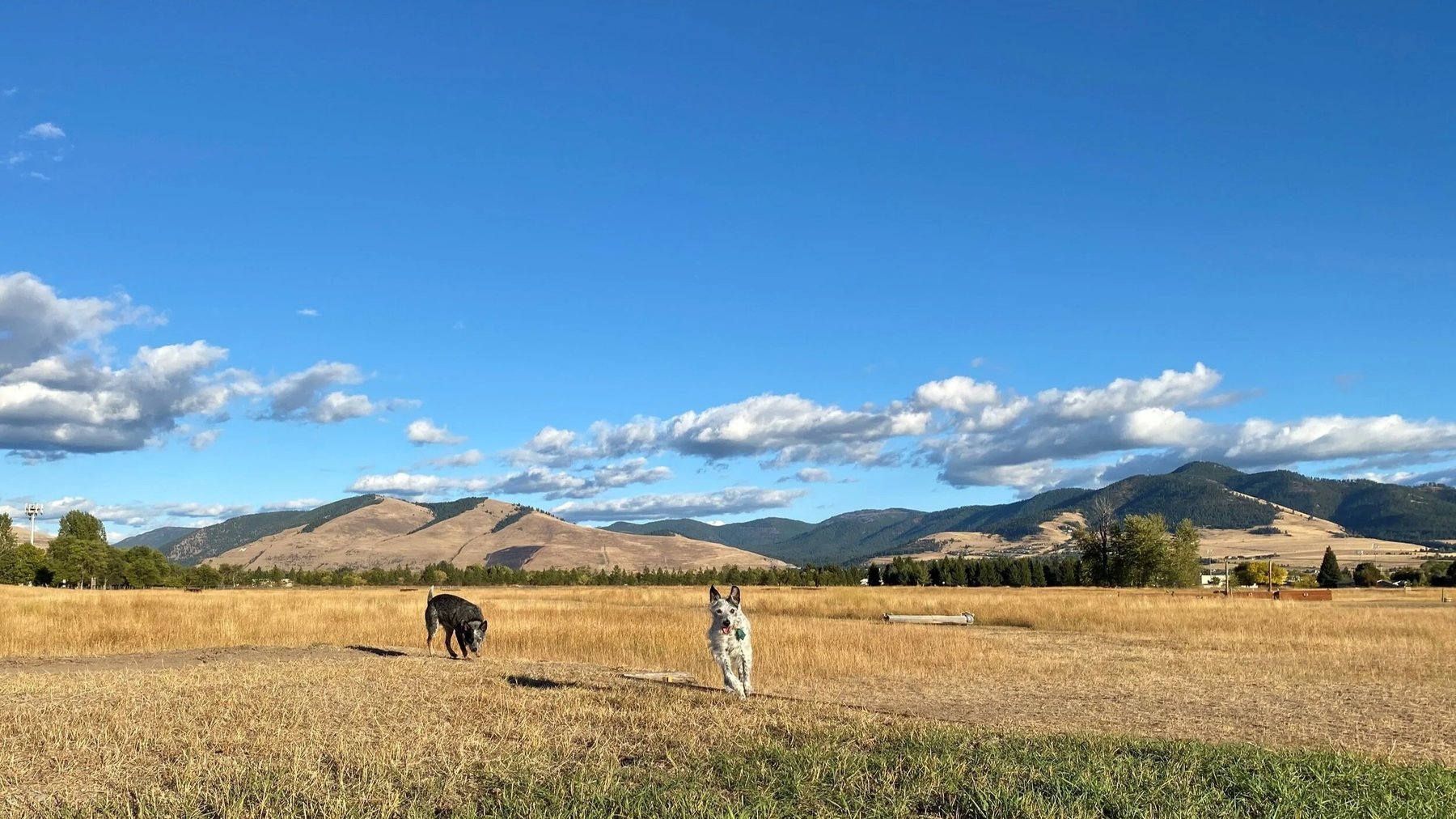 Blue Sky Behavior
