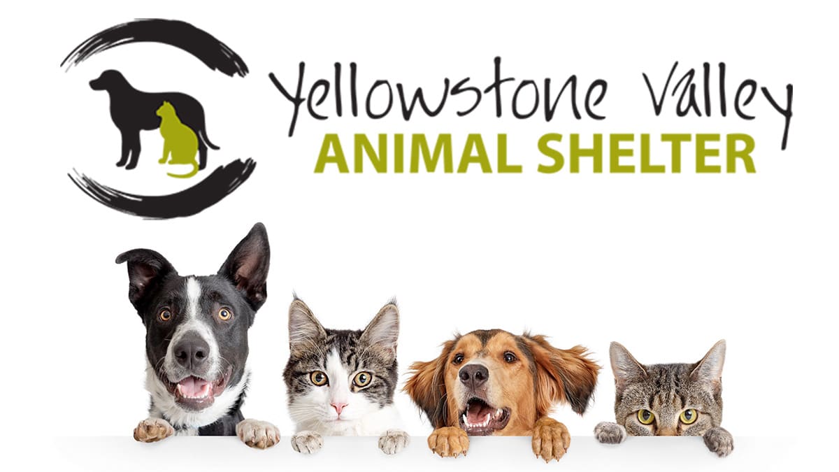 Yellowstone Valley Animal Shelter