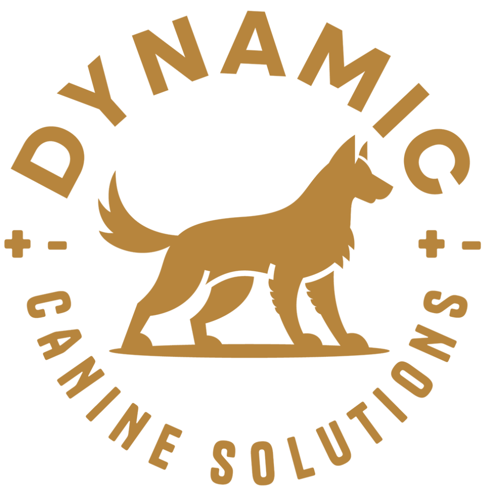 Dynamic Canine Solutions | Expert Mobile Dog Training