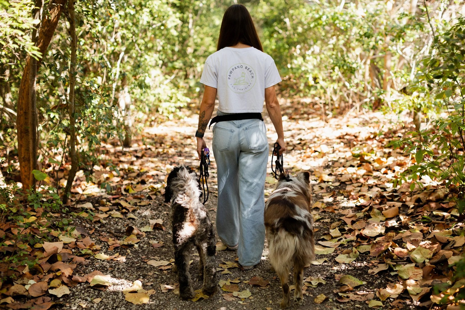 Pawpano Beach Dog Training