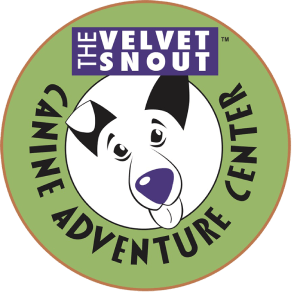 The Velvet Snout logo