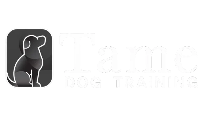 Tame Dog Training & Boarding
