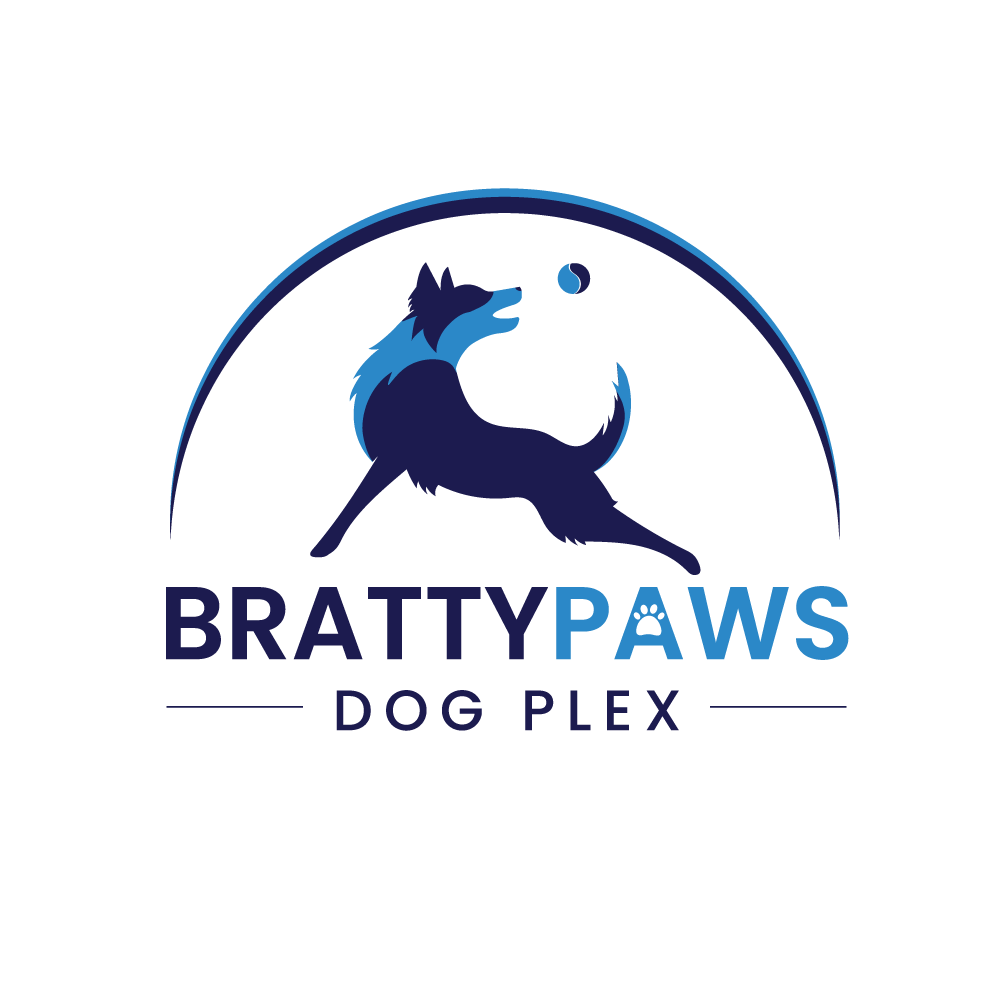 Bratty Paws Dog Plex — dog trainer in Port Charlotte, FL