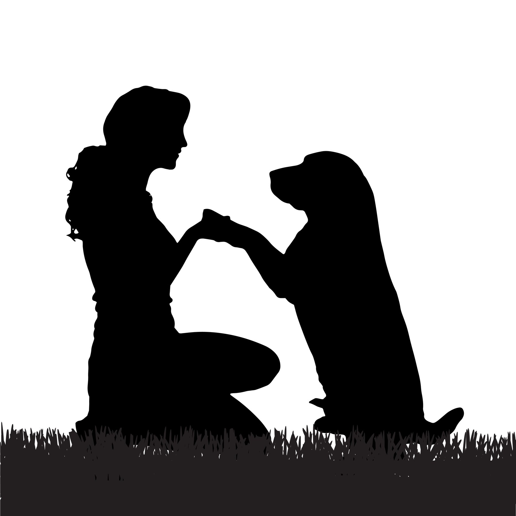 Lynn The Dog Trainer — dog trainer in San Jose, CA
