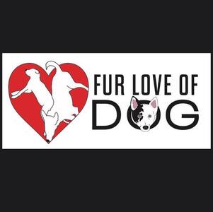 Fur Love Of Dog LLC logo