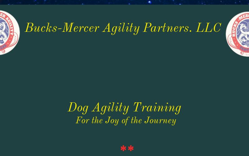 Bucks-Mercer Agility Partners, LLC — dog trainer in Trenton, NJ