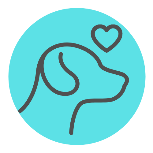 Pawsitive Purrfection LLC — dog trainer in Round Rock, TX