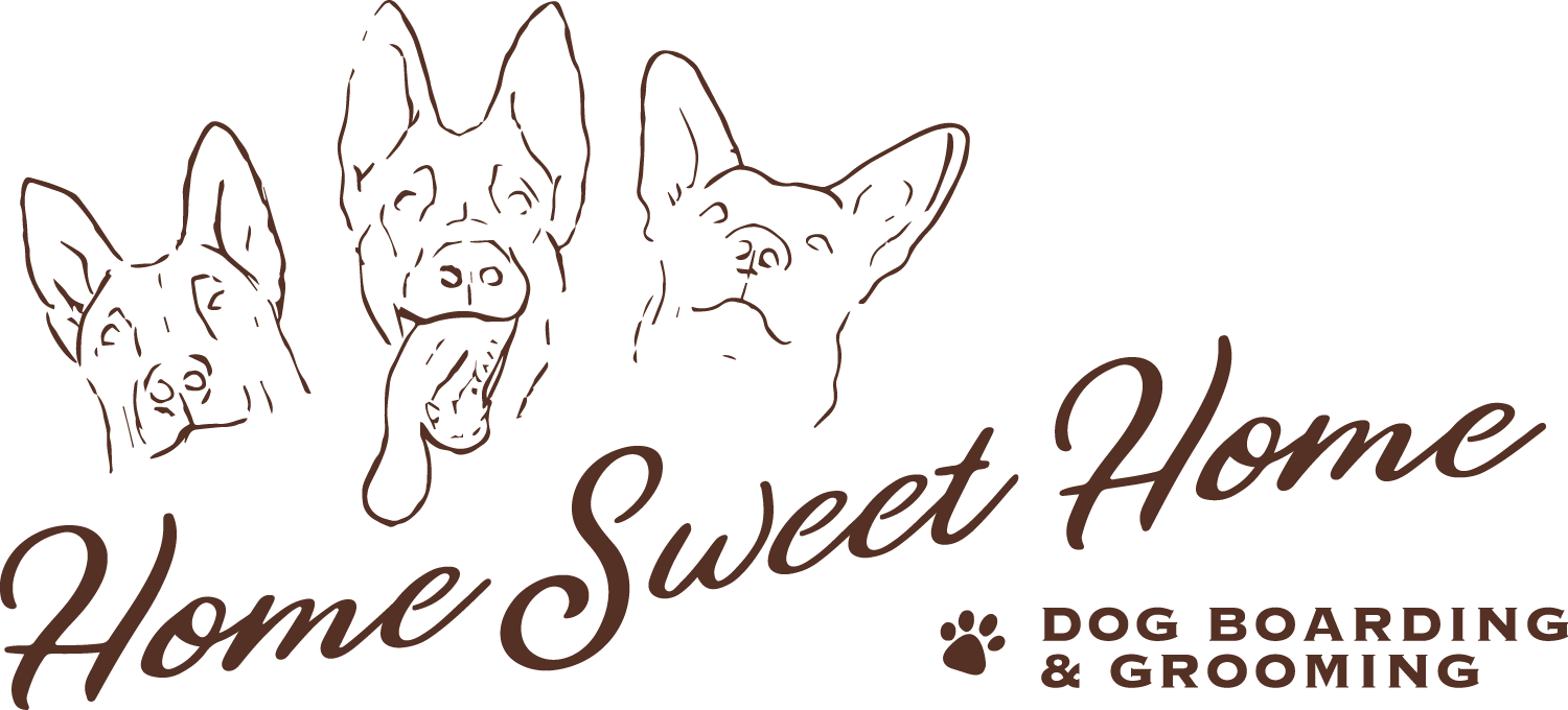 Dog Boarding — dog trainer in Manchester, NH