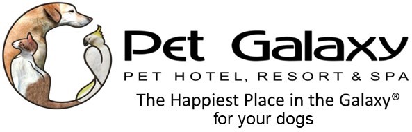 Pet Galaxy logo
