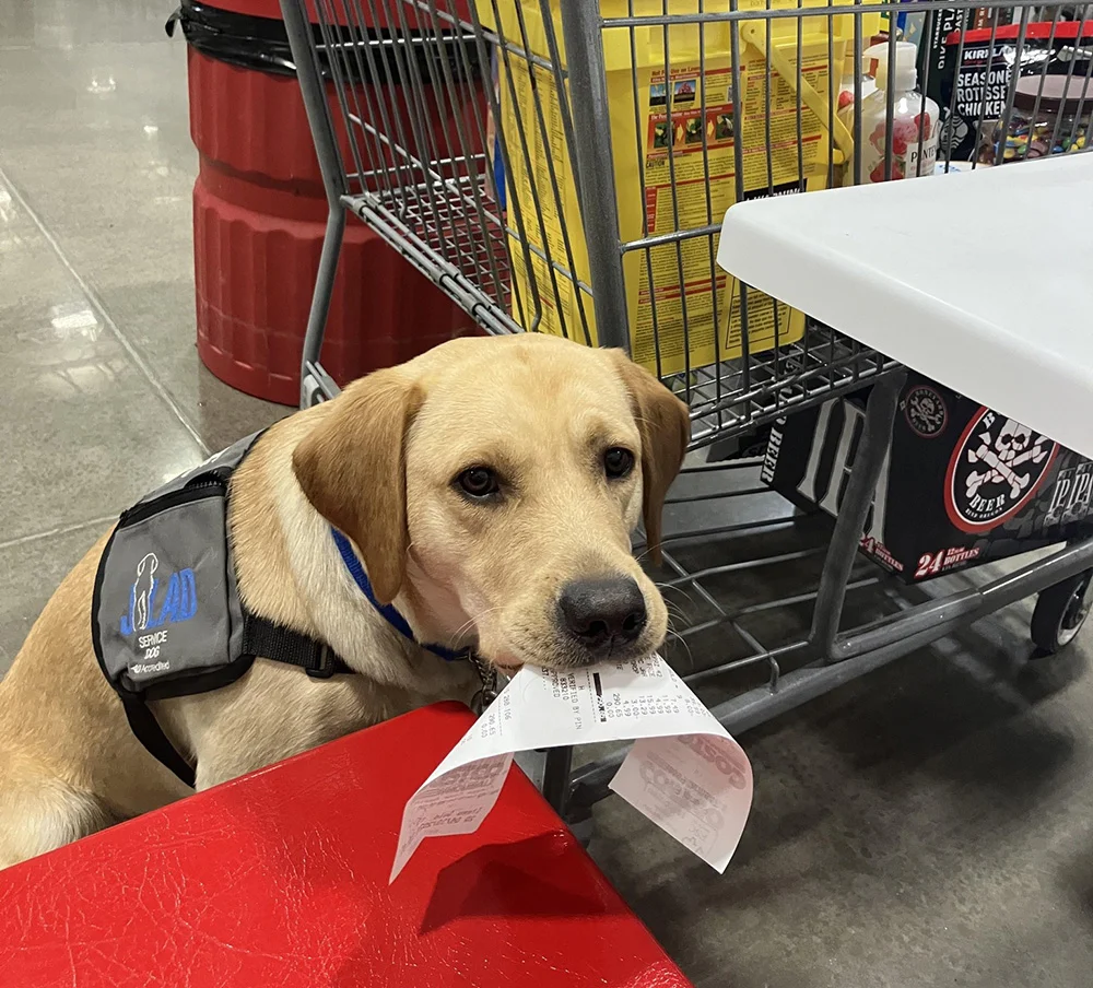 Joys of Living Assistance Dogs