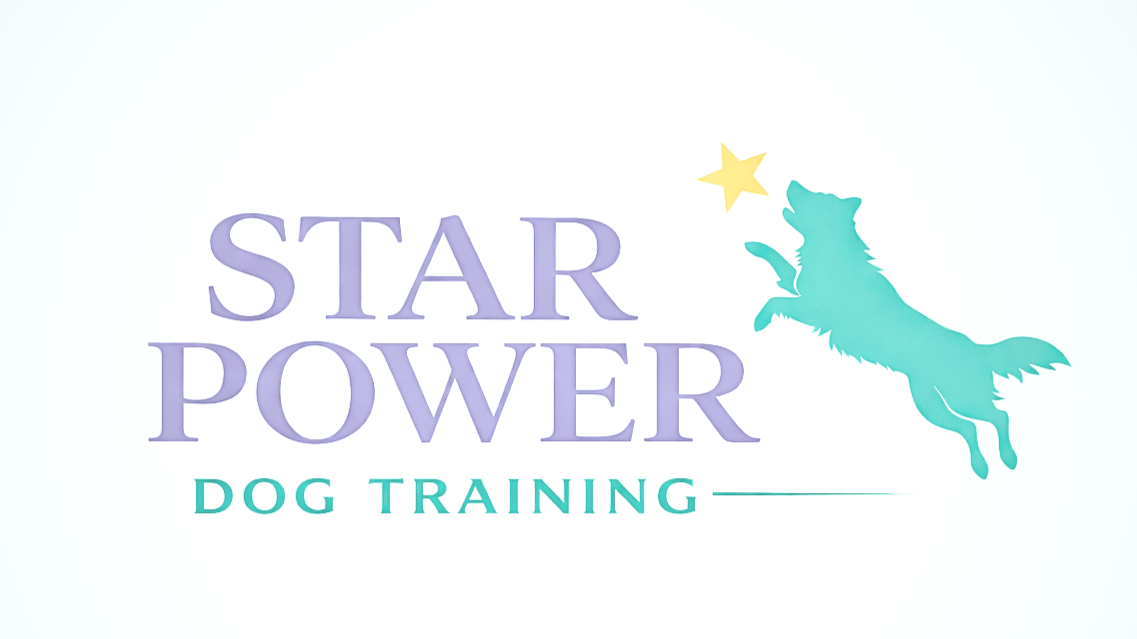 starpowerdogtraining