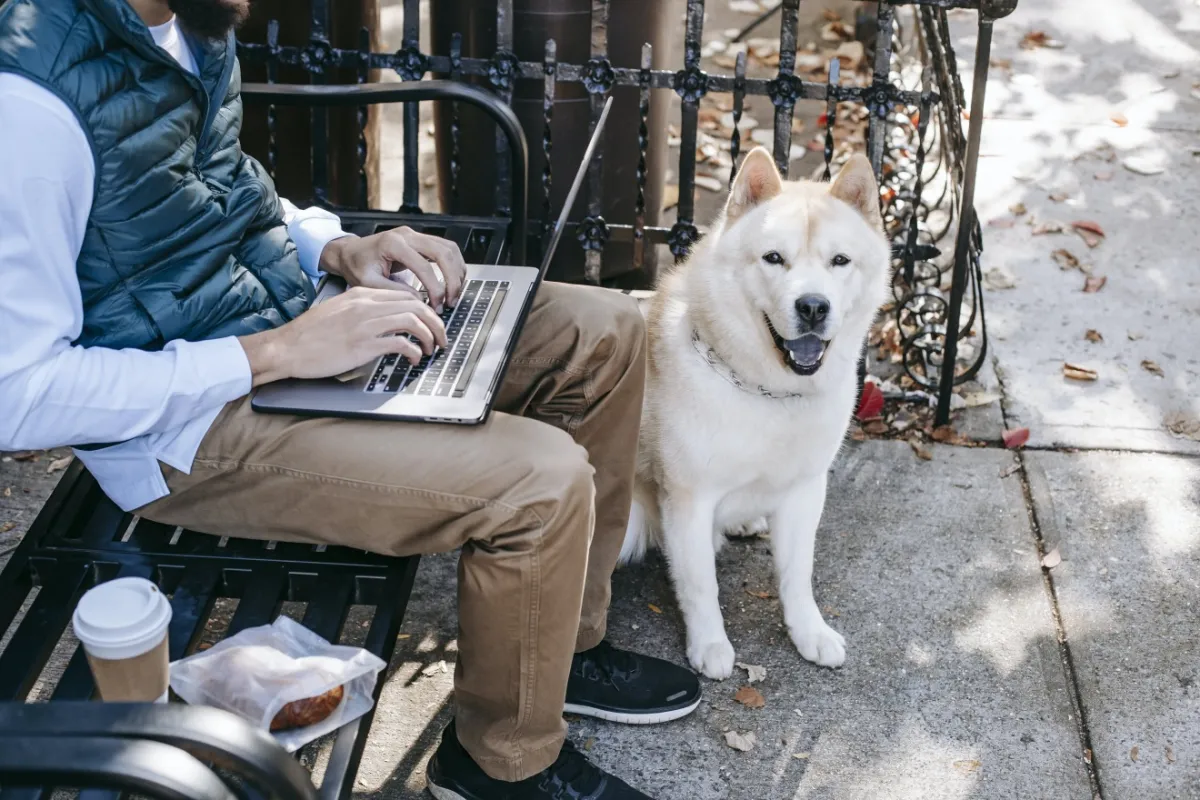 Canine Training Research Group — dog trainer in Houston, TX