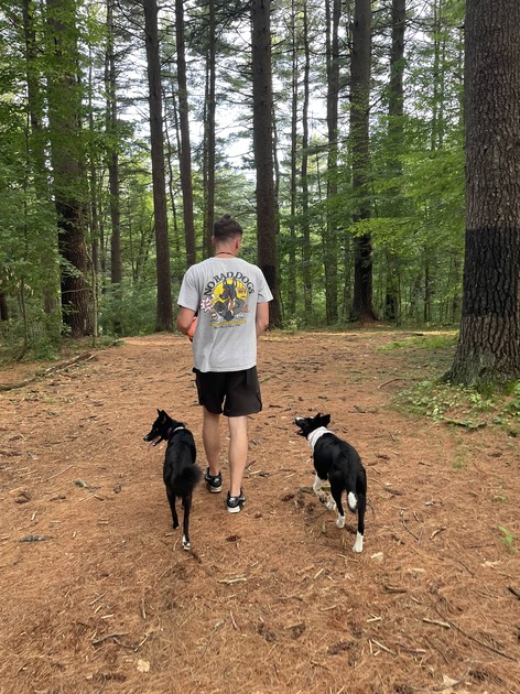 Worcester County Dog Training