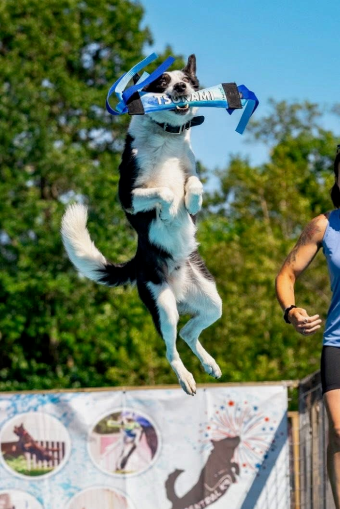 Central K-9
