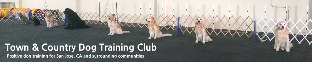 Town & Country Dog Training Club
