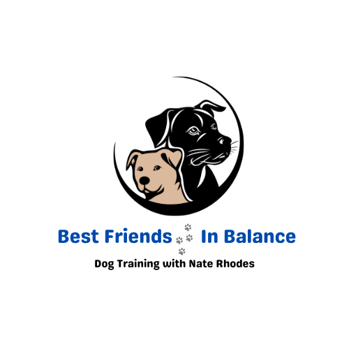 Best Friends In Balance — dog trainer in Santa Rosa, CA
