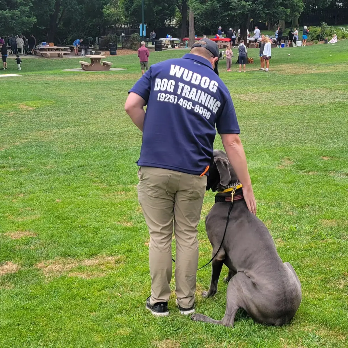 WUDOG – Dog Training