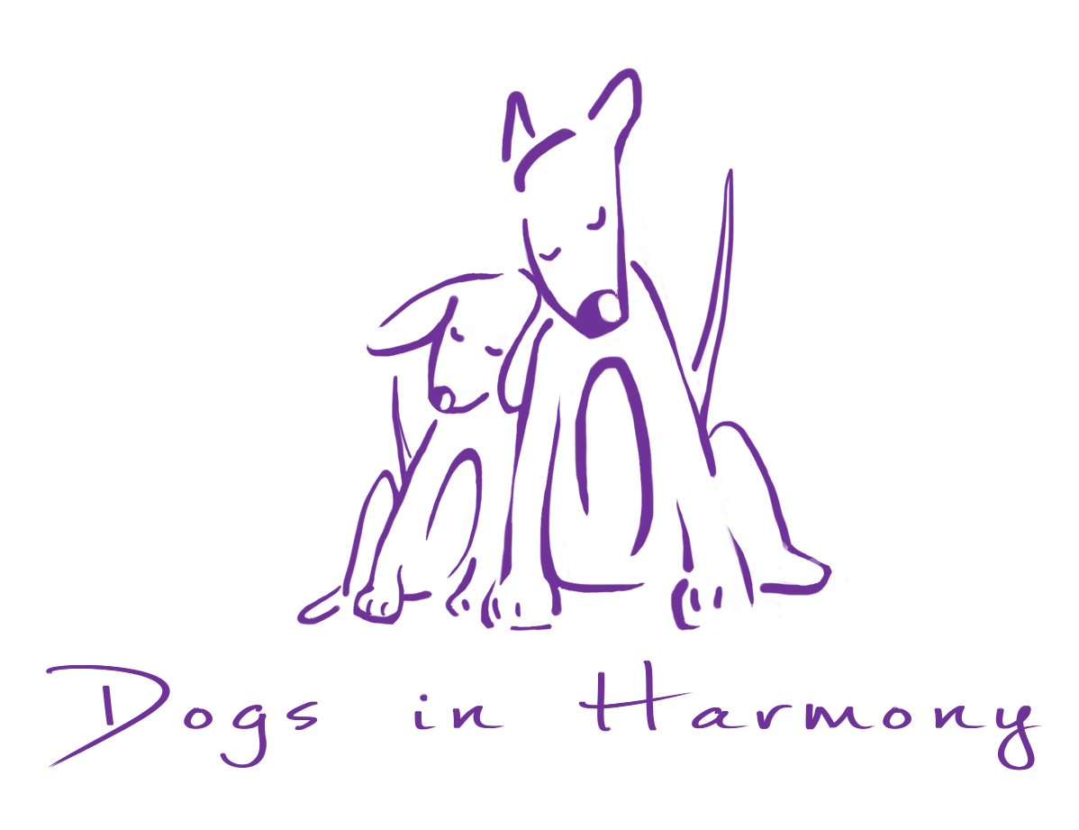 Dogs In Harmony