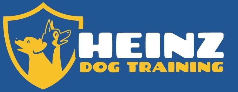 The Miami Dog Trainer Richard Heinz
