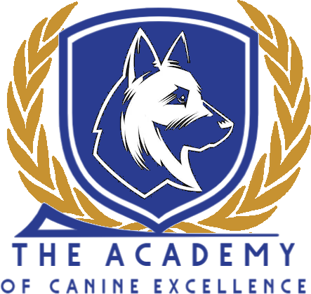 The Academy of Canine Excellence